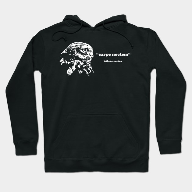 Noctua hoodie hotsell